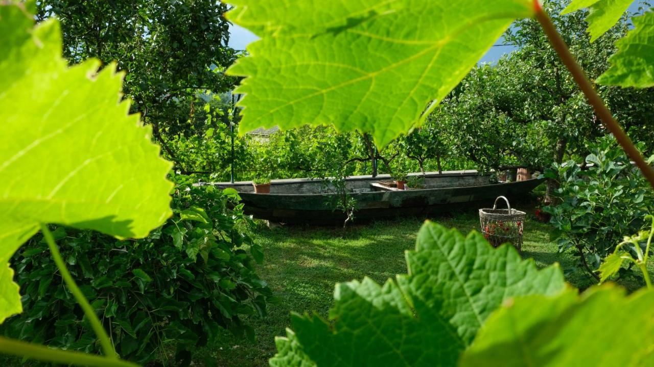 Country House Djurisic Virpazar Exterior foto