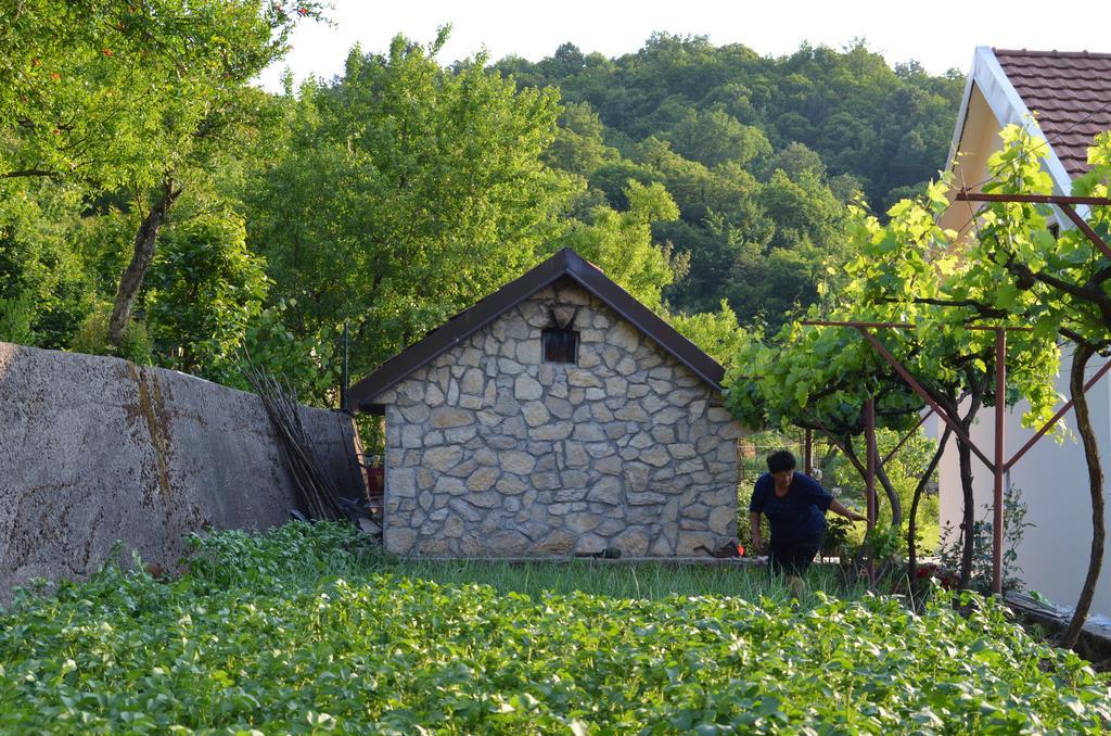 Country House Djurisic Virpazar Exterior foto